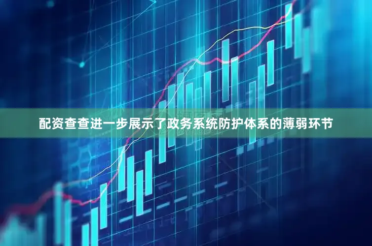 配资查查进一步展示了政务系统防护体系的薄弱环节