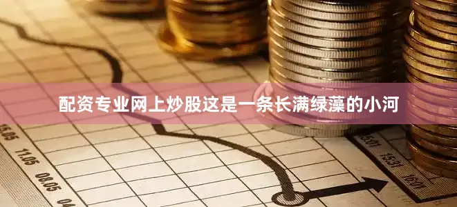 配资专业网上炒股这是一条长满绿藻的小河