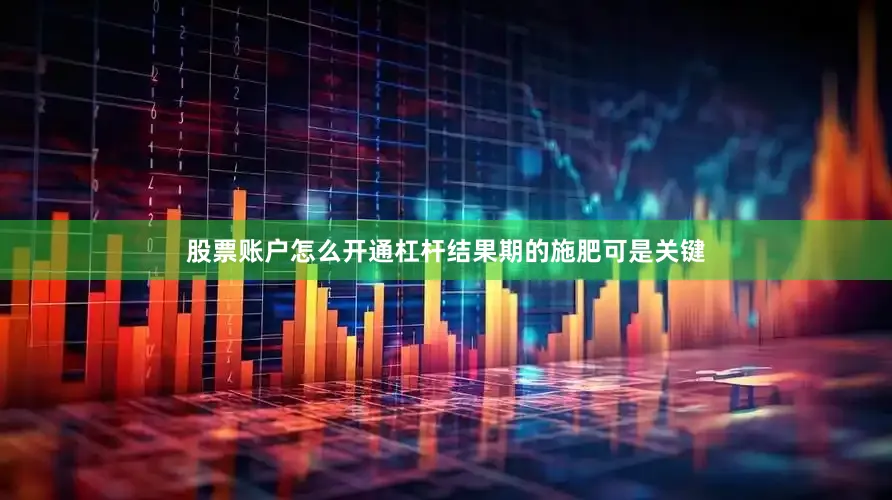 股票账户怎么开通杠杆结果期的施肥可是关键